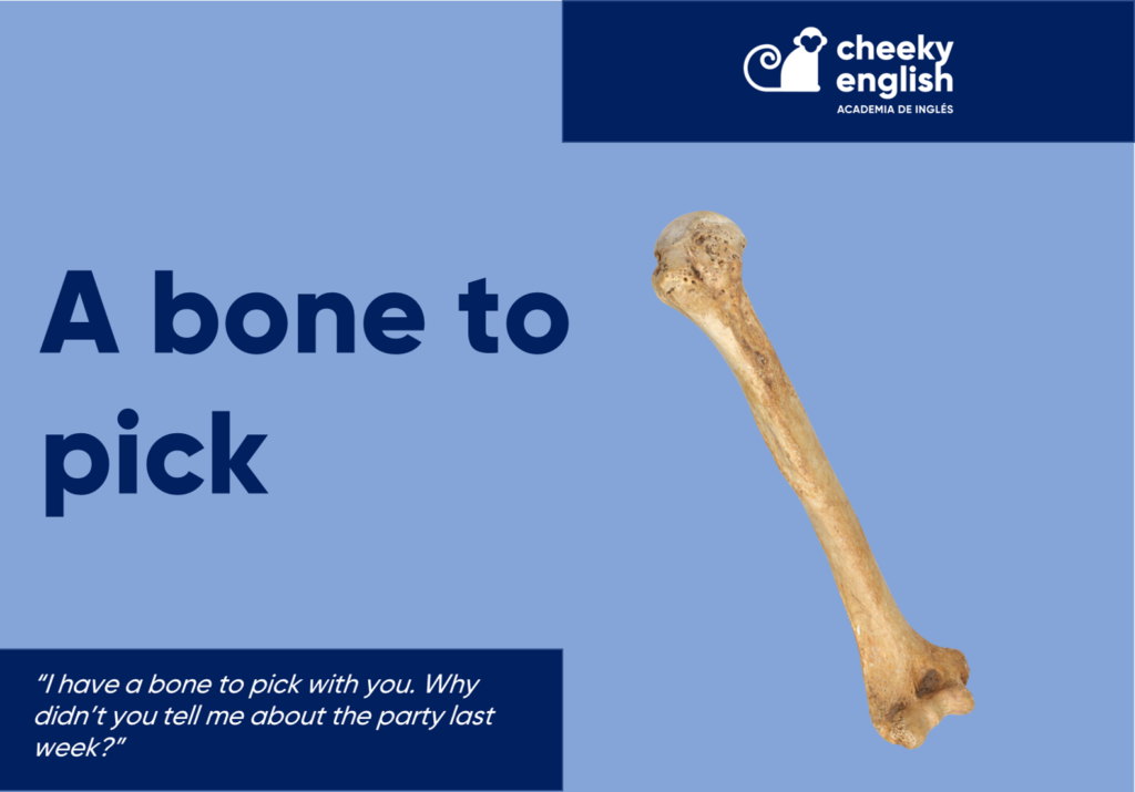 Academia de inglés en Murcia bone to pick