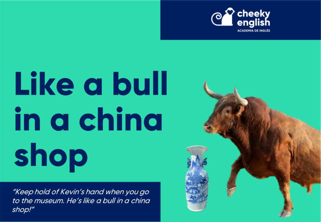 bull in a china shop