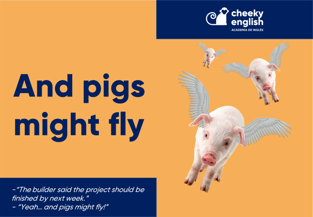 Academia de inglés en Murcia pigs might fly
