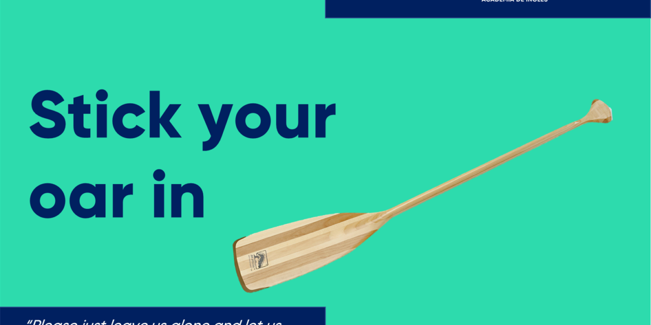 Cursos de inglés con profesor nativo stick your oar in