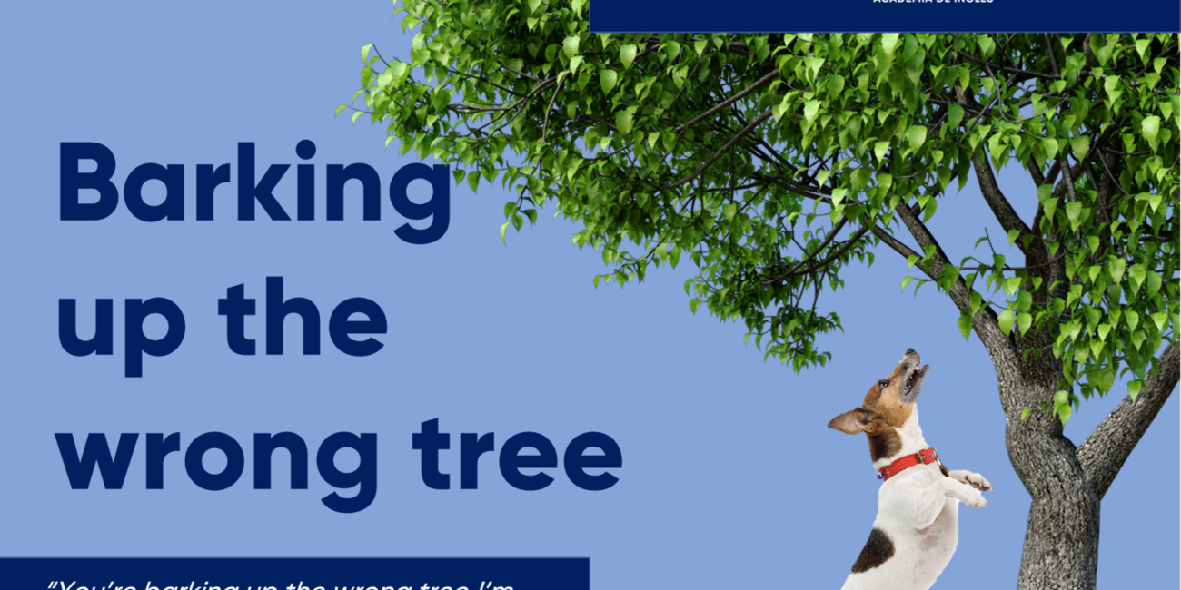 Cursos de inglés con profesor nativo barking up the wrong tree