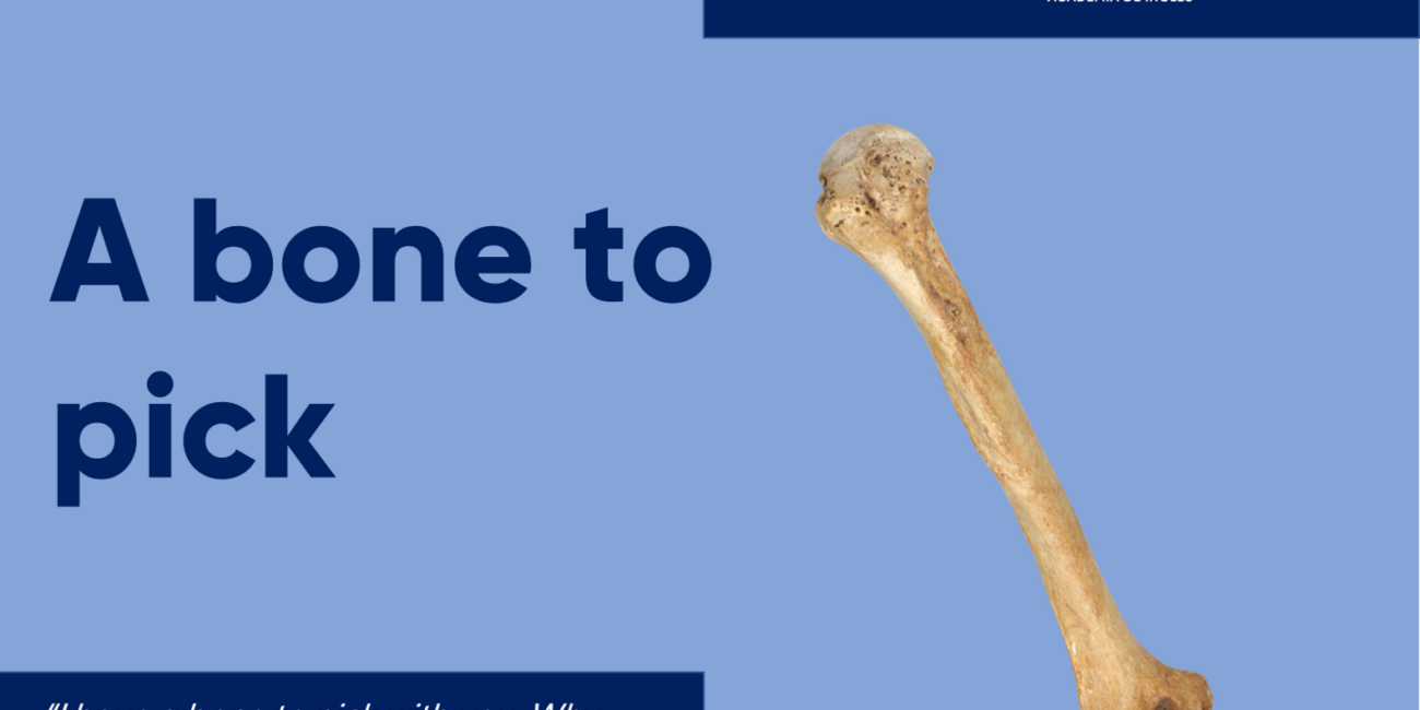 Cursos de inglés con profesor nativo bone to pick