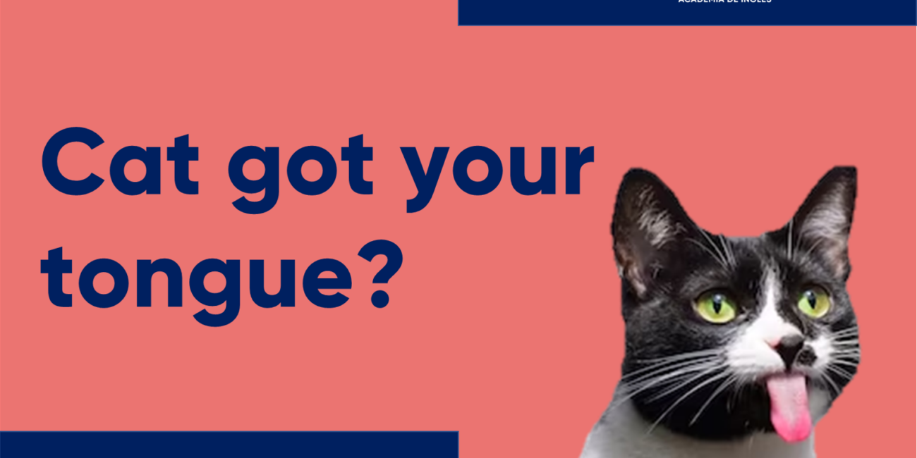 Cursos de inglés con profesor nativo cat got your tongue