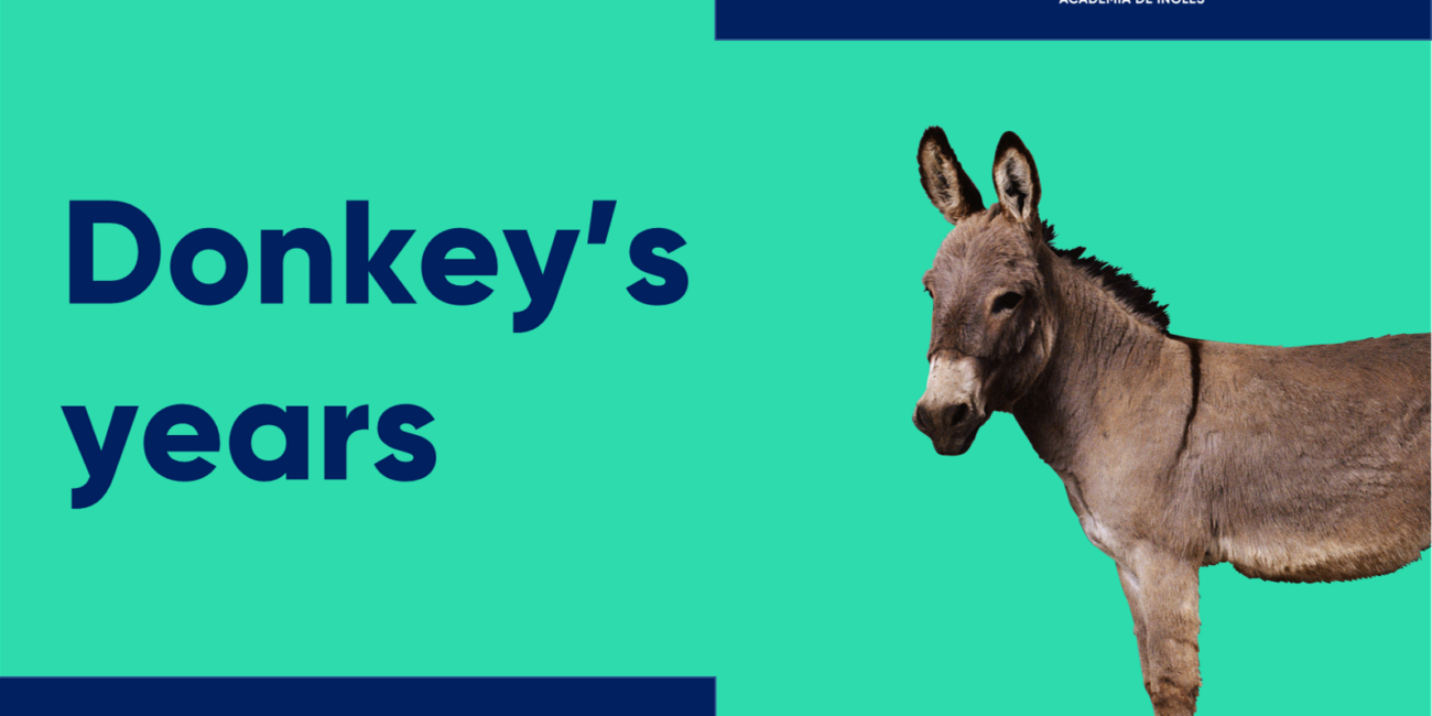 Cursos de inglés con profesor nativo donkeys years