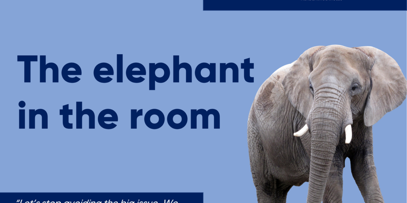 Cursos de inglés con profesor nativo elephant in the room