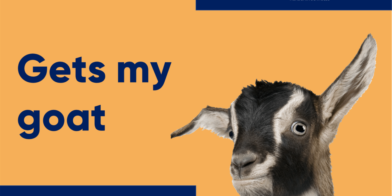 Cursos de inglés con profesor nativo gets my goat