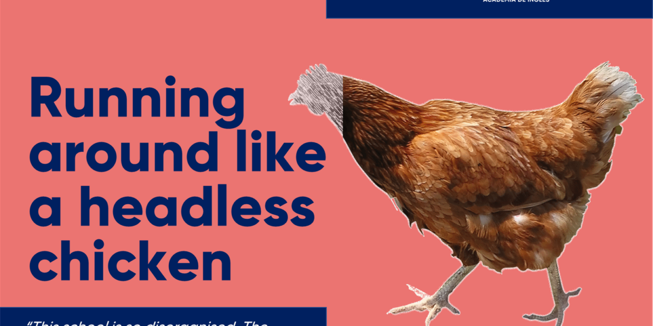 Cursos de inglés con profesor nativo headless chicken
