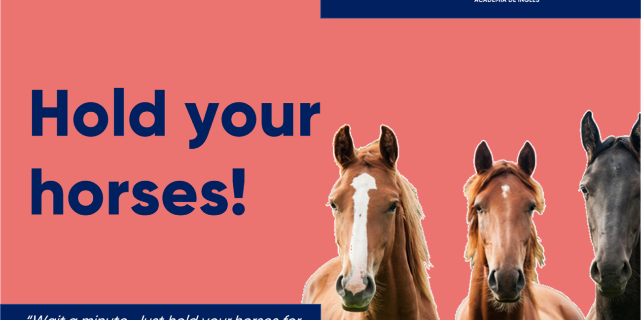 Cursos de inglés con profesor nativo hold your horses