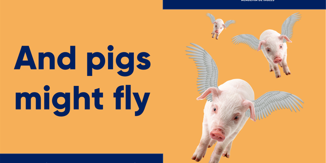 Cursos de inglés con profesor nativo pigs might fly