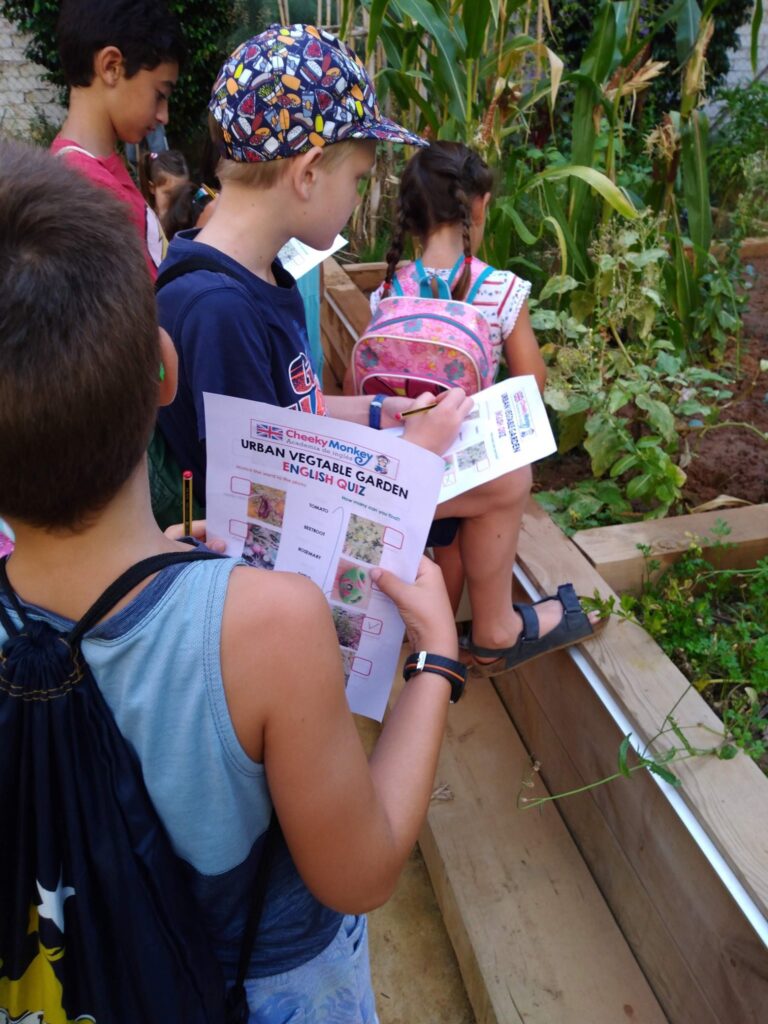 Cursos de inglés con profesor nativo Escuela de Verano Cursos de inglés con profesor nativo sep school 2