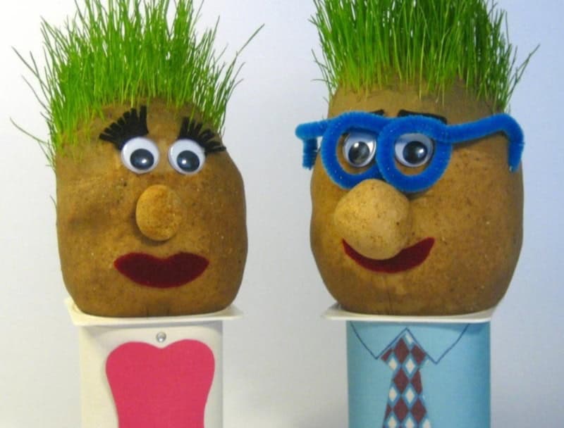 Dos personajes de patata con ojos, pelo de césped y accesorios divertidos en clase de inglés.